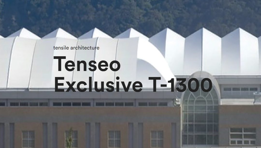 Tenseo Exclusive T-1300