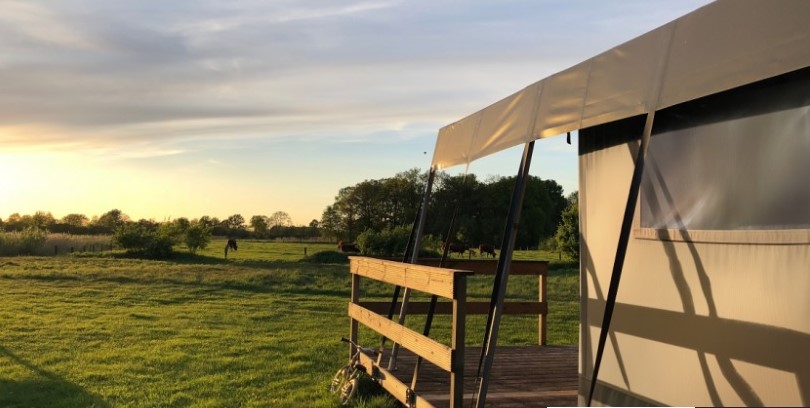 Flexlight Natome 500