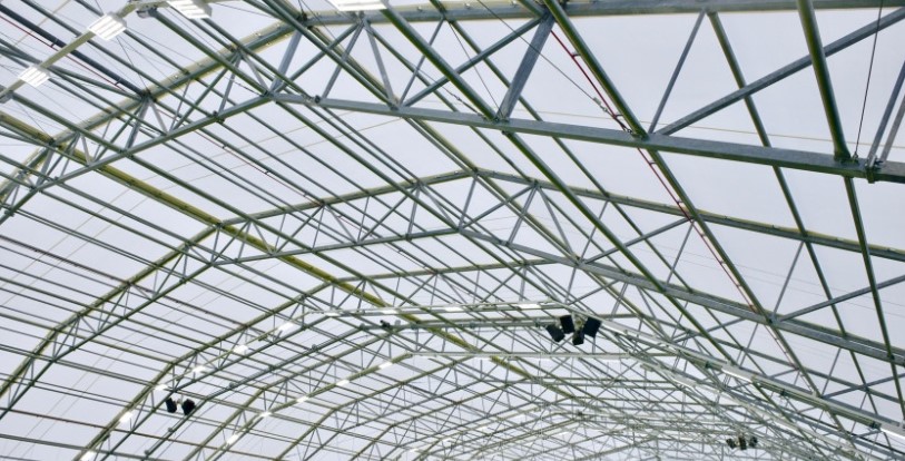 Flexlight Shield 800